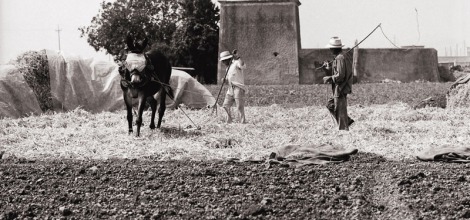 Lorem ipsum dolor sit amet