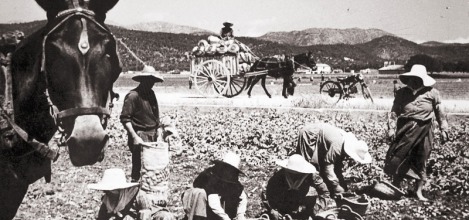 Lorem ipsum dolor sit amet